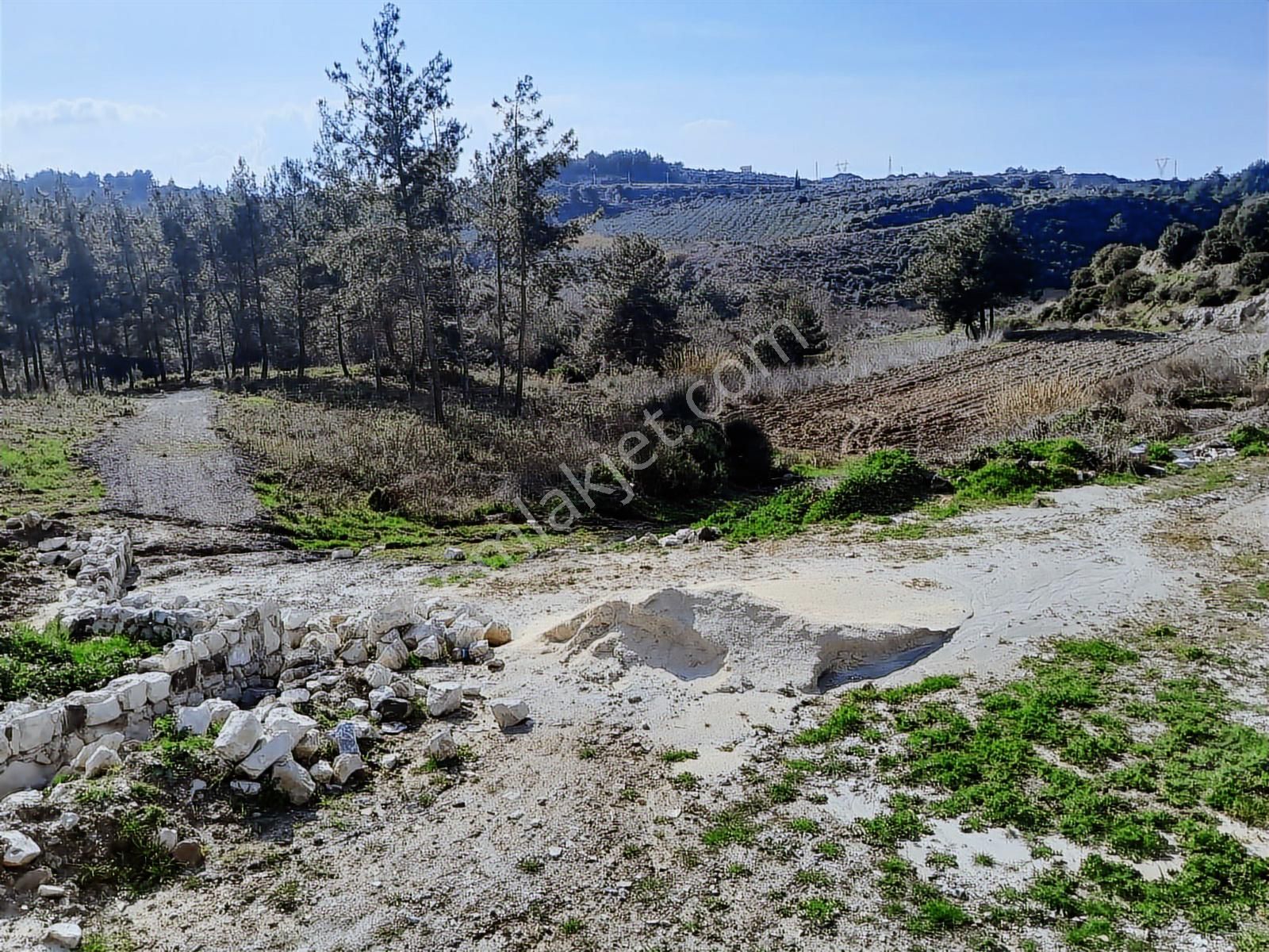 Söke Yaylaköyde Satılık Kooperatif Hisseli Arsa - Görsel 2