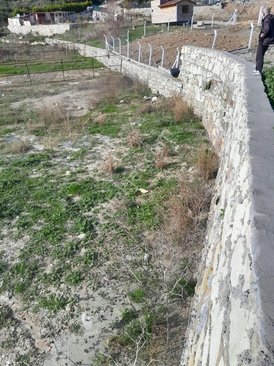 Söke Yaylaköyde Satılık Kooperatif Hisseli Arsa - Görsel 4