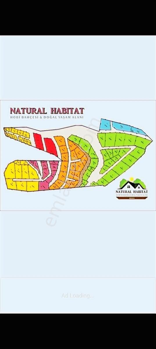 Söke Yaylaköyde Satılık Kooperatif Hisseli Arsa - Görsel 8