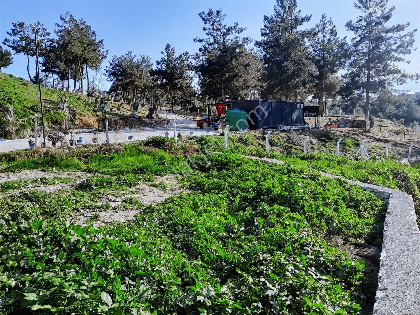 Söke Yaylaköyde Satılık Kooperatif Hisseli Arsa - Görsel 7