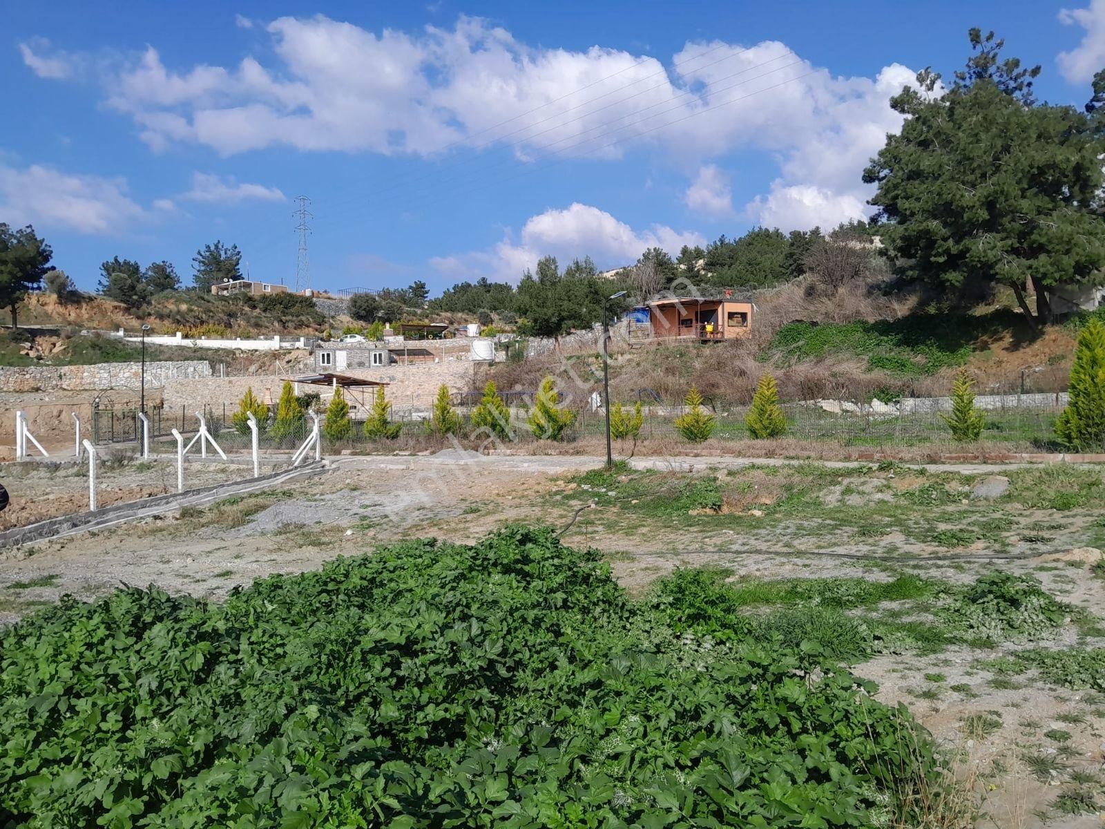 Söke Yaylaköyde Satılık Kooperatif Hisseli Arsa