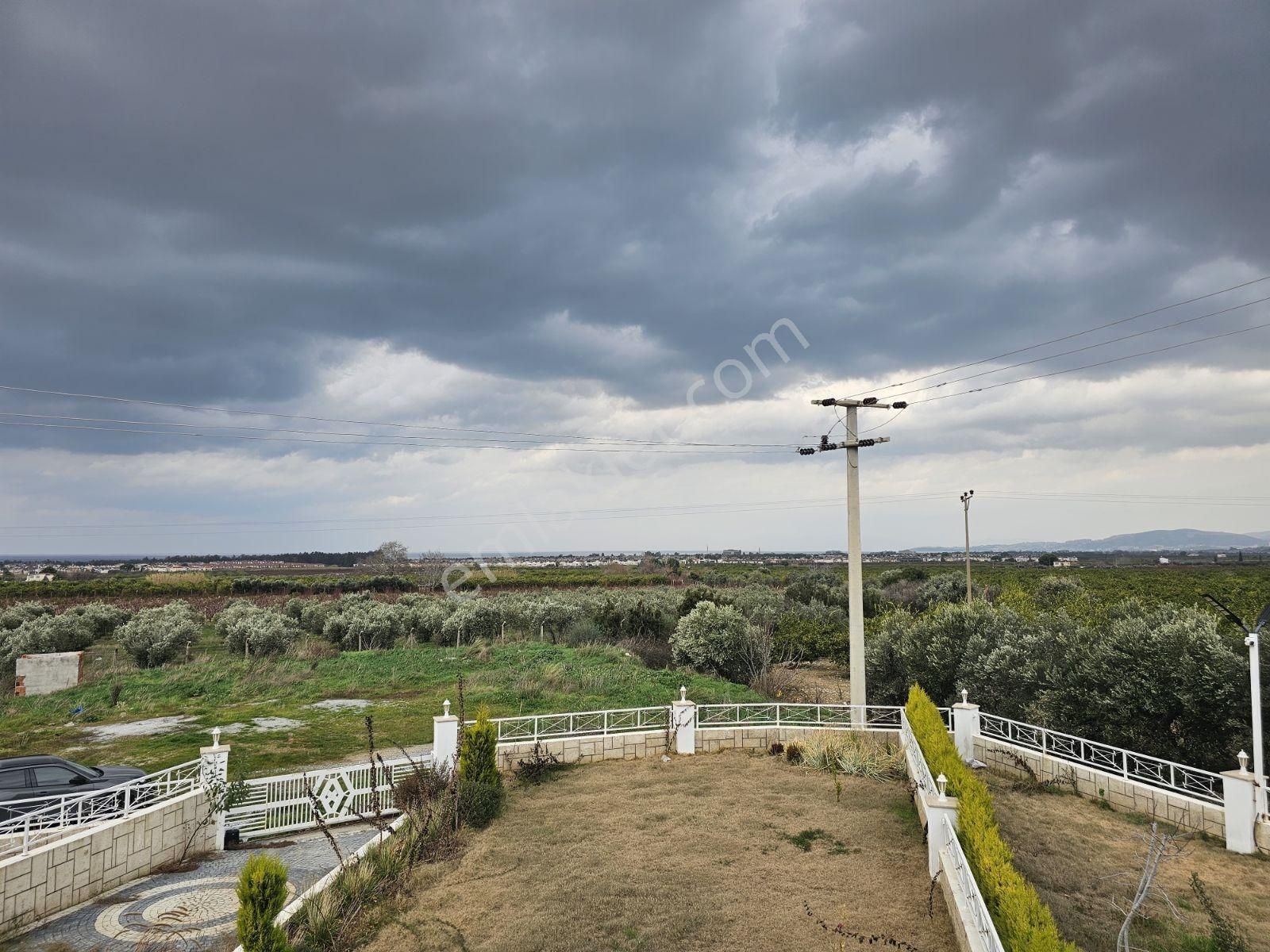 Kuşadası Davutlarda Tek Müstakil Özel Havuzlu 4+1 Satılık Villa - Görsel 4