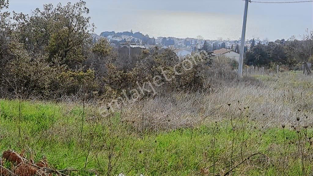 Çorlu Yenice Deniz Manzaralı Yola Cephe Önü Kapanmaz 340 M2 Arsa - Görsel 10