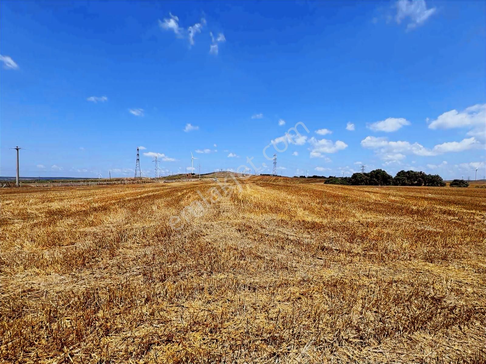 Silivri'de Asfalt Yola Cepheli 32.193 M2 Tarla - Görsel 8