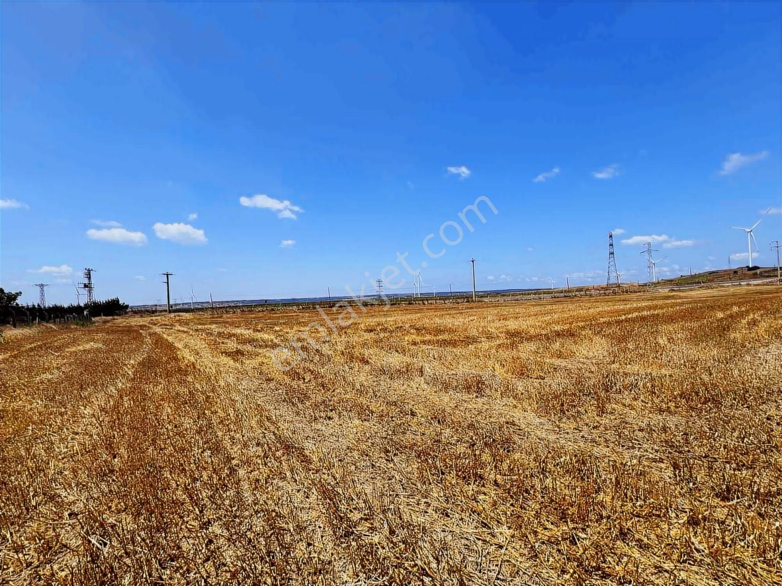 Silivri'de Asfalt Yola Cepheli 32.193 M2 Tarla