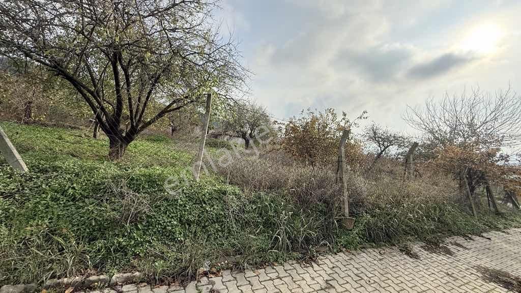 Süleymanpaşa Naipköy İmarlı 393 M2 Arsa İçinde Avlulu Kerpiç Ev - Görsel 5