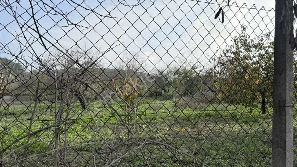 Süleymanpaşa Naipköy İmarlı 393 M2 Arsa İçinde Avlulu Kerpiç Ev - Görsel 8