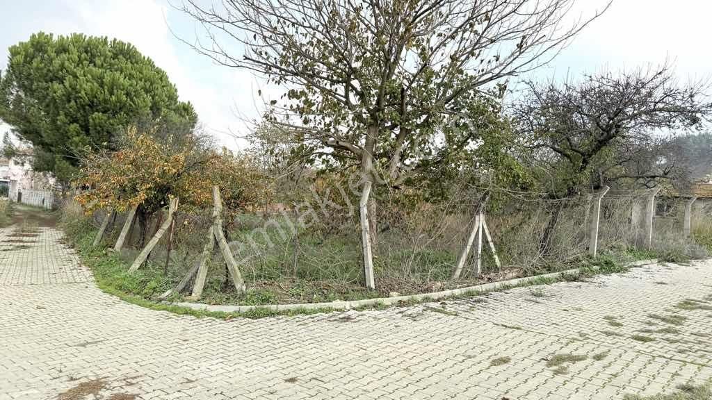 Süleymanpaşa Naipköy İmarlı 393 M2 Arsa İçinde Avlulu Kerpiç Ev - Görsel 6