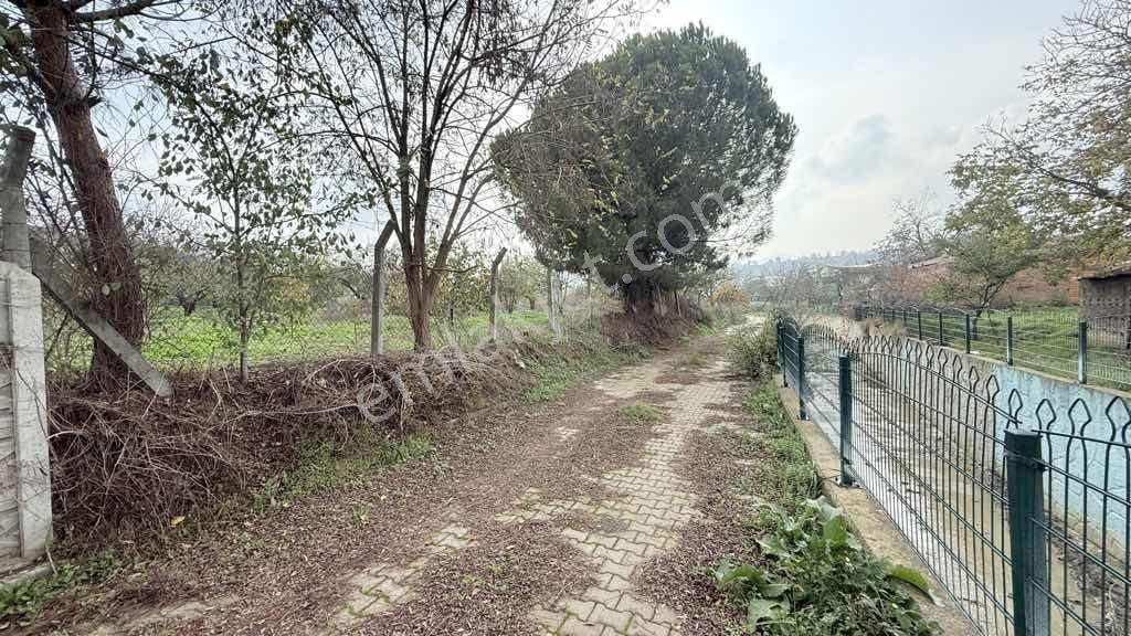 Süleymanpaşa Naipköy İmarlı 393 M2 Arsa İçinde Avlulu Kerpiç Ev - Görsel 2