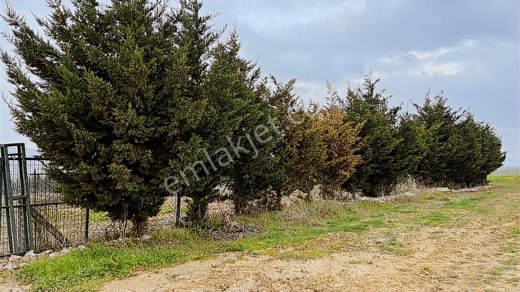 Tekirdağ Süleymanpaşa Site İçinde 179 M2 İmarlı Arsa - Görsel 4