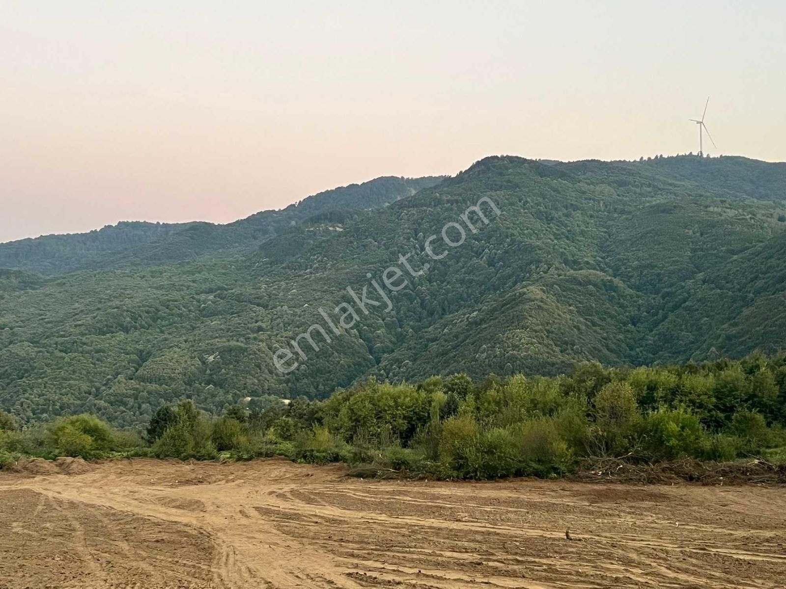 Gölcükte 13 Dönüm Dikili Tarıma Uygun 250m2 İmarlı Arsa - Görsel 3