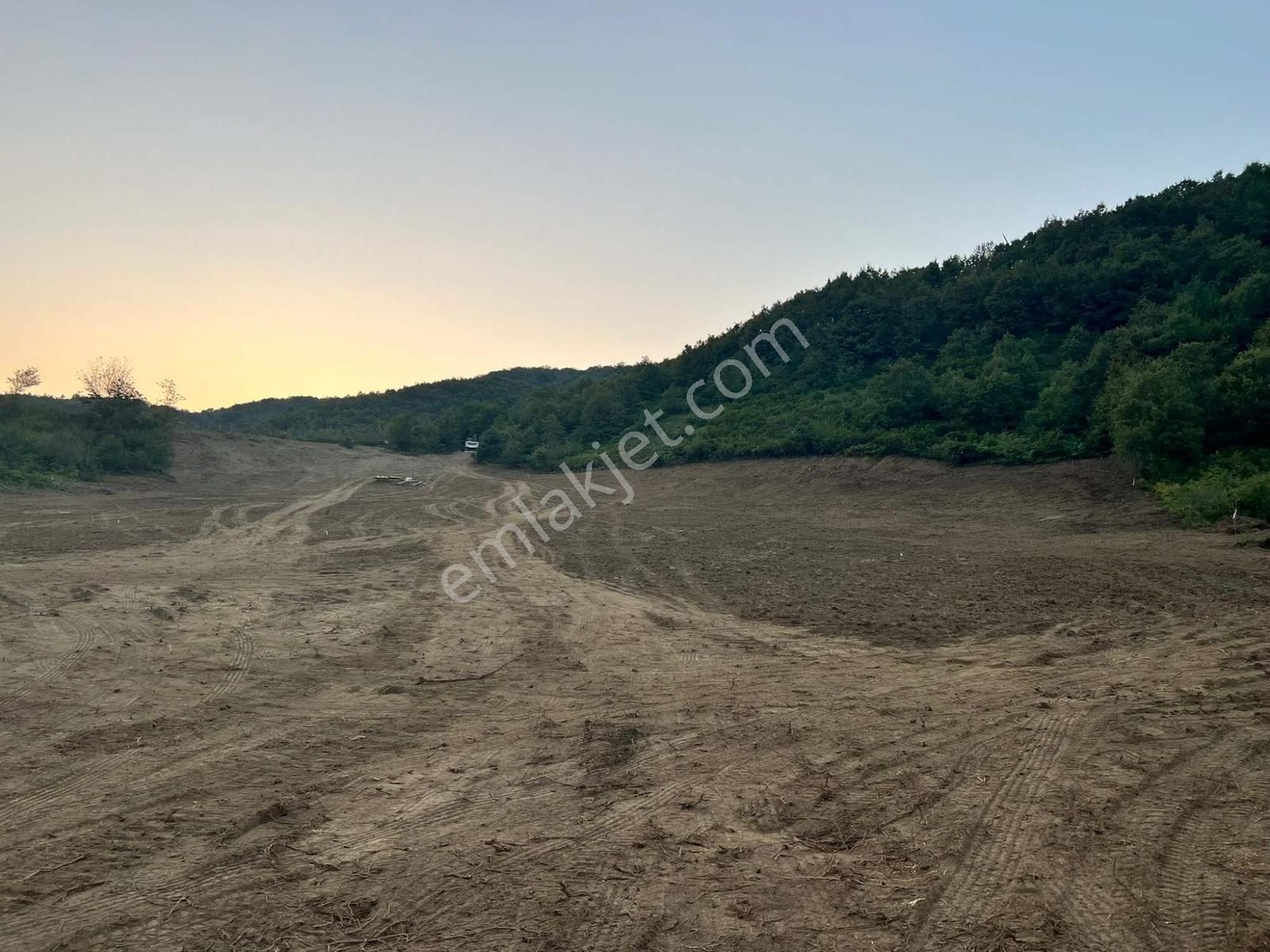 Gölcükte 13 Dönüm Dikili Tarıma Uygun 250m2 İmarlı Arsa