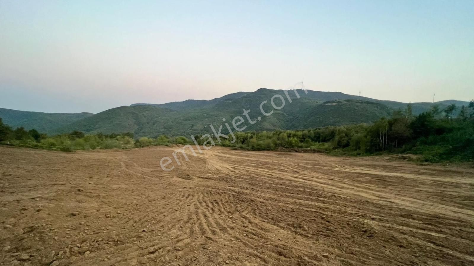 Gölcükte 13 Dönüm Dikili Tarıma Uygun 250m2 İmarlı Arsa - Görsel 7