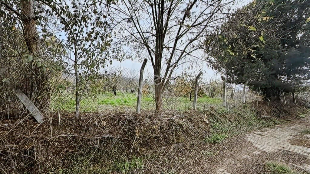 Süleymanpaşa Naipköy'de Konut Imarlı 2231 Metre2 Arsa İçinde Ev - Görsel 16