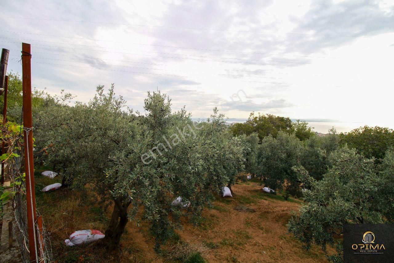 Opima Emlaktan Atatürk Mahallesinde Bahçe İçinde Satılık Müstakil Ev - Görsel 33