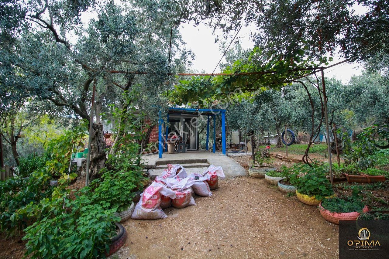 Opima Emlaktan Atatürk Mahallesinde Bahçe İçinde Satılık Müstakil Ev - Görsel 34