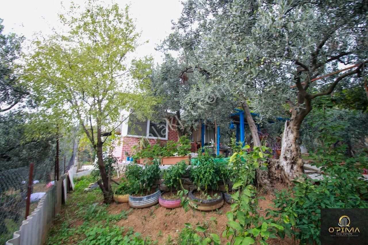 Opima Emlaktan Atatürk Mahallesinde Bahçe İçinde Satılık Müstakil Ev - Görsel 35