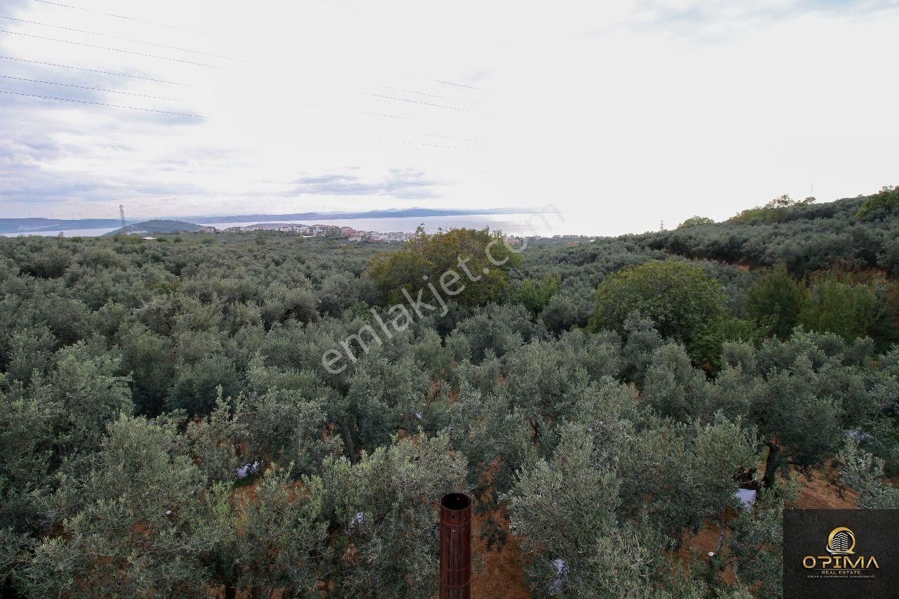 Opima Emlaktan Atatürk Mahallesinde Bahçe İçinde Satılık Müstakil Ev - Görsel 21