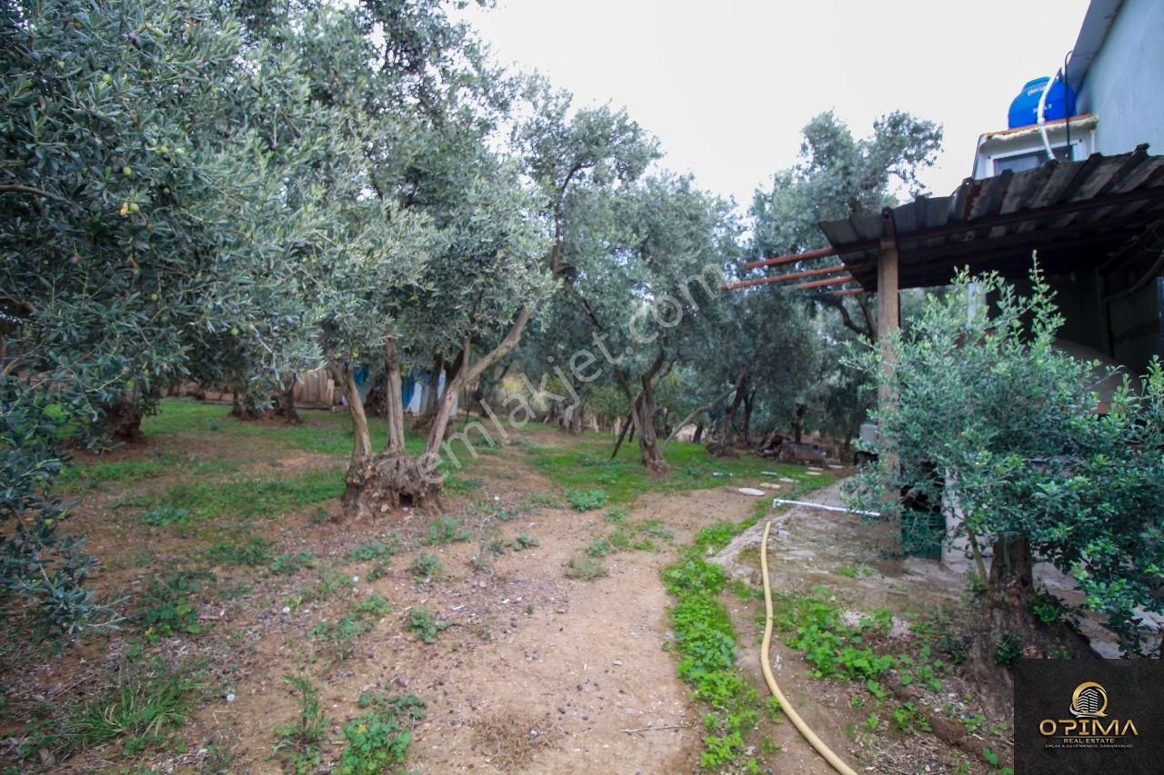 Opima Emlaktan Atatürk Mahallesinde Bahçe İçinde Satılık Müstakil Ev - Görsel 29