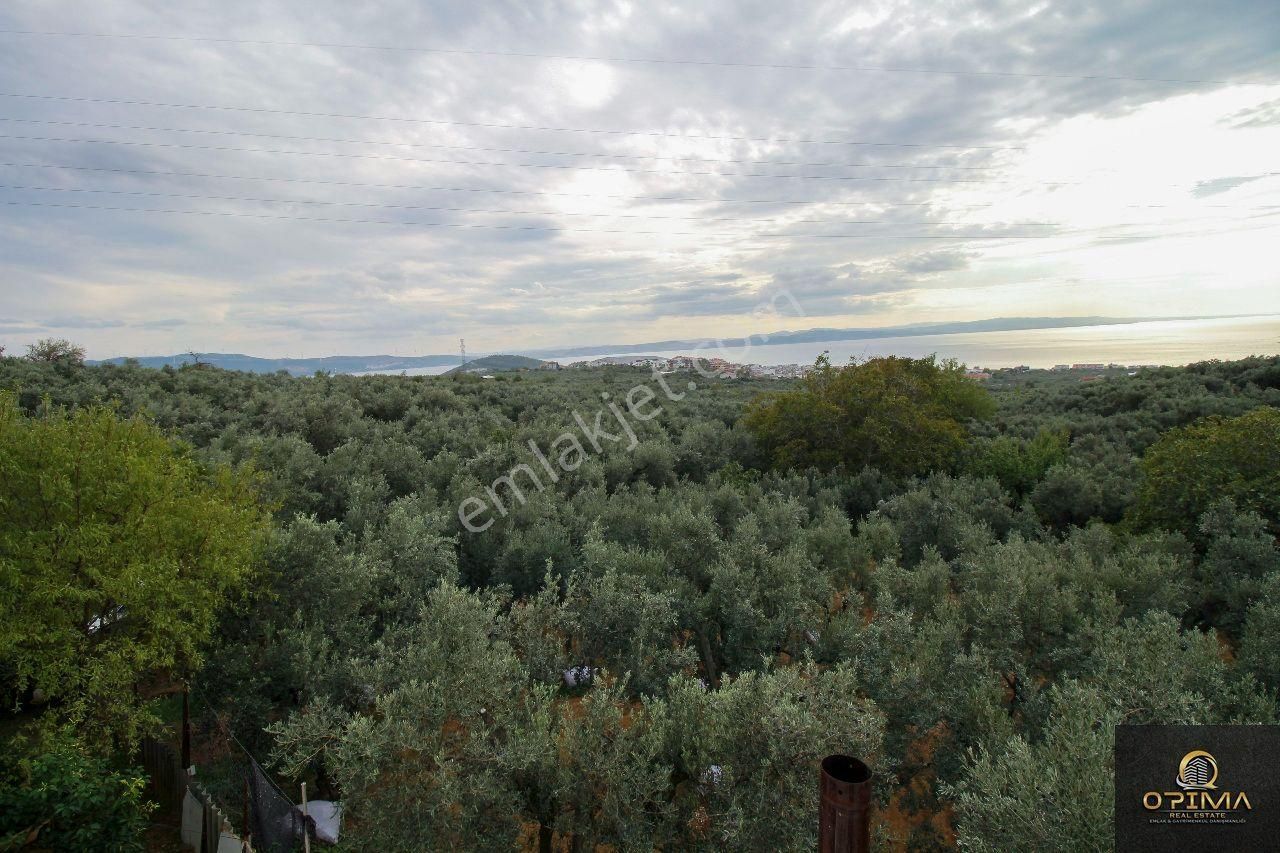 Opima Emlaktan Atatürk Mahallesinde Bahçe İçinde Satılık Müstakil Ev - Görsel 22