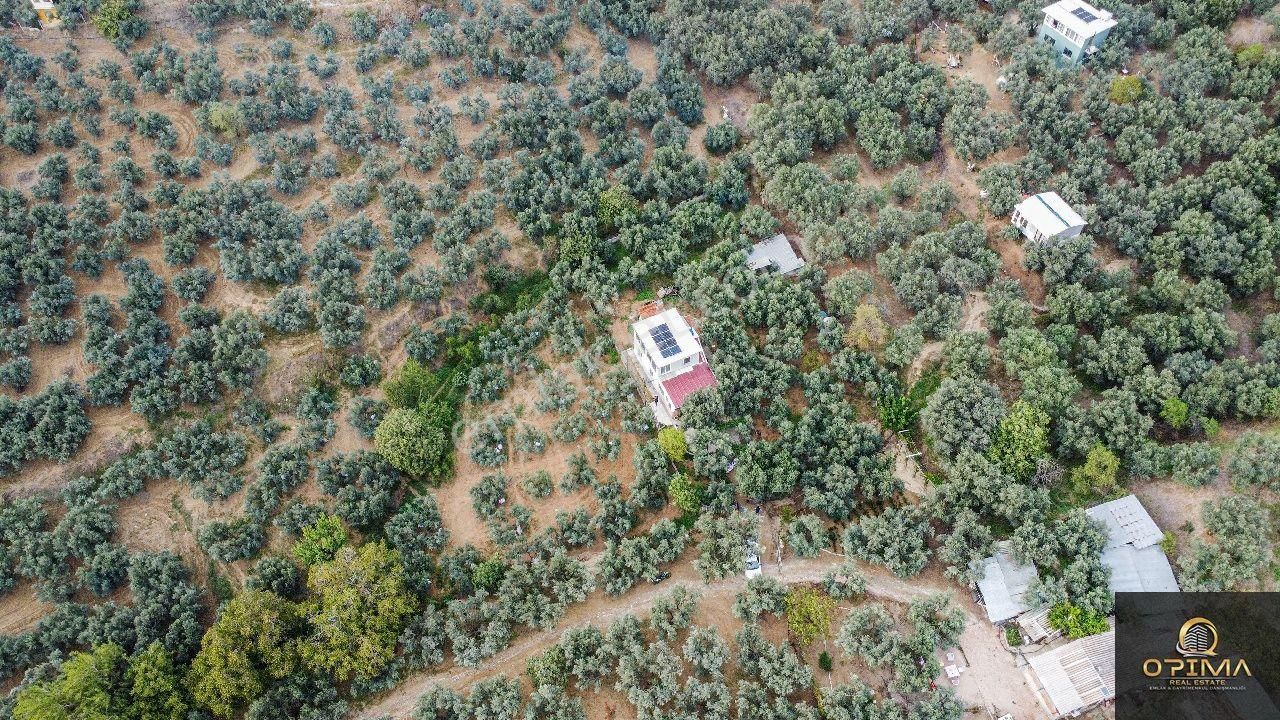 Opima Emlaktan Atatürk Mahallesinde Bahçe İçinde Satılık Müstakil Ev - Görsel 3