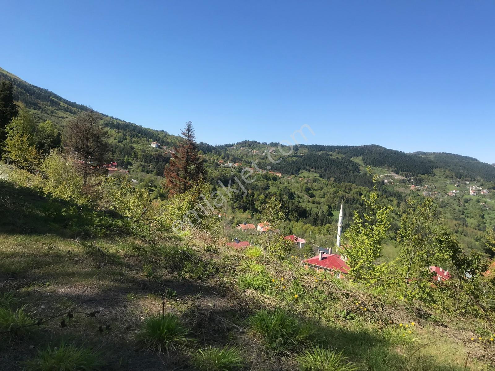 Acil Satılık Kastamonu İnebolu Kabalar - Görsel 3