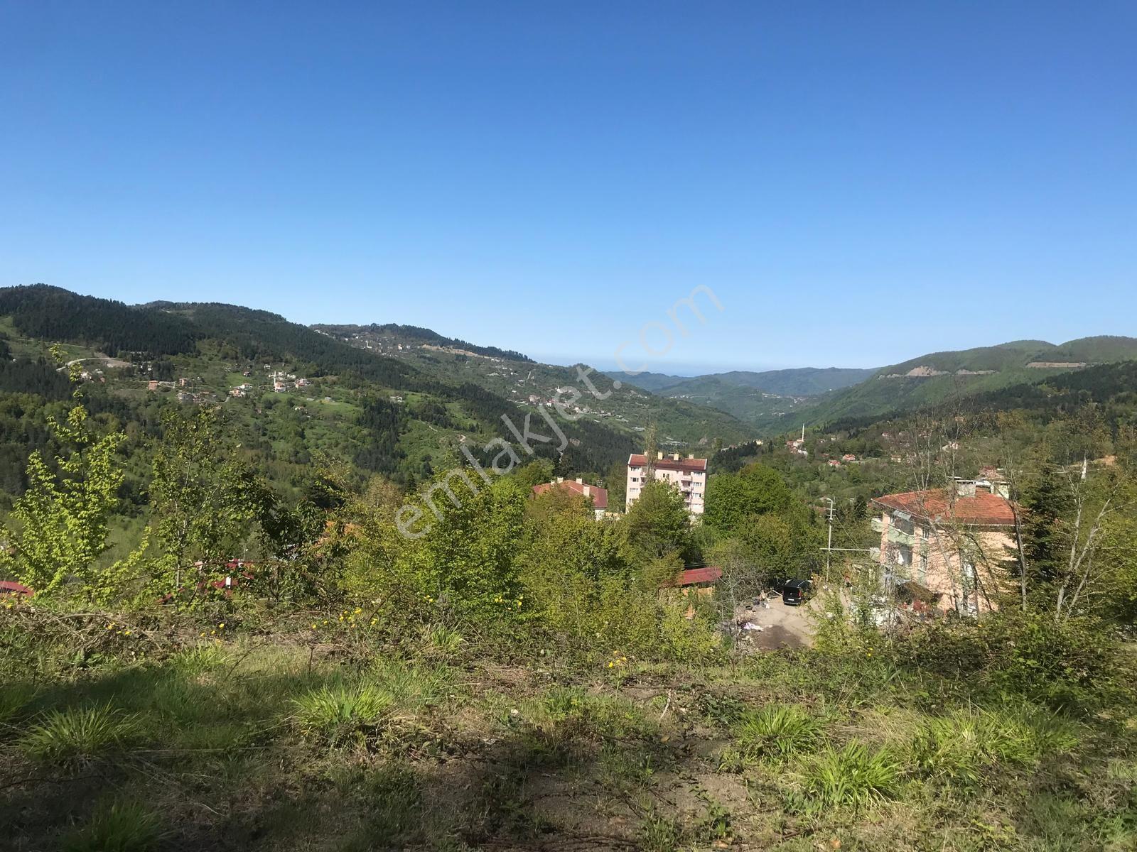 Acil Satılık Kastamonu İnebolu Kabalar - Görsel 7