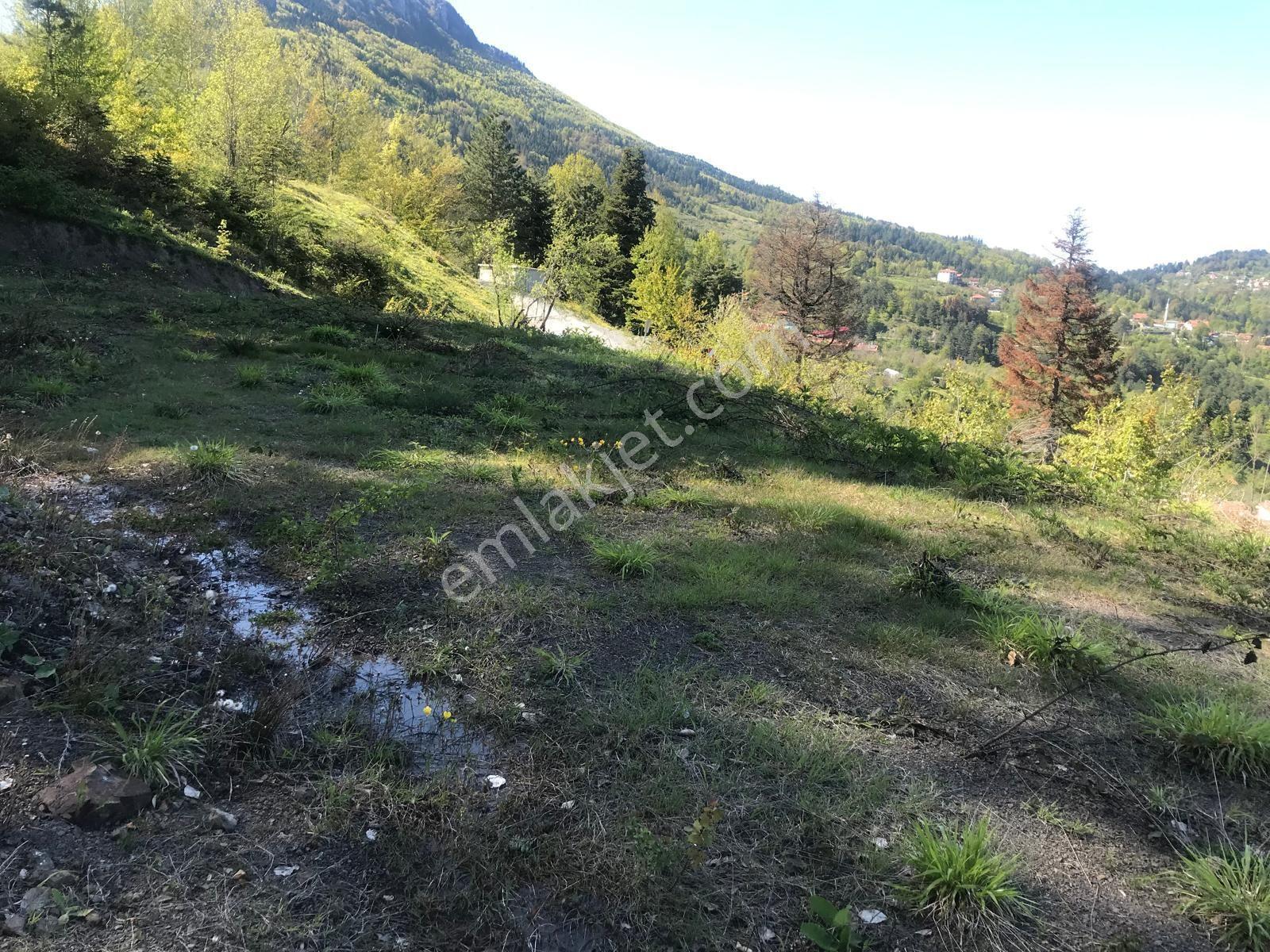 Acil Satılık Kastamonu İnebolu Kabalar - Görsel 8