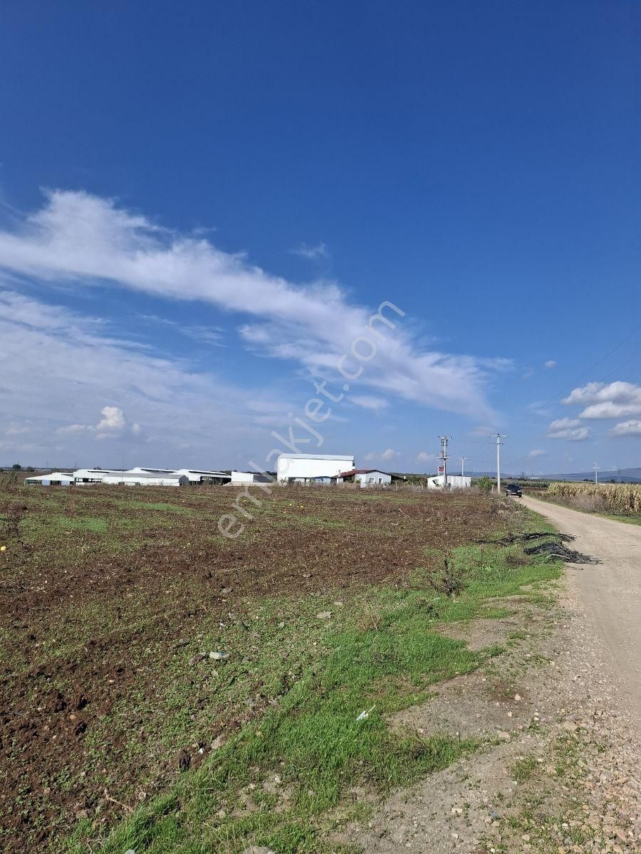 Karacabey Dağkadı Köyünde Çelik Silo Ruhsatlı Tarla - Görsel 5