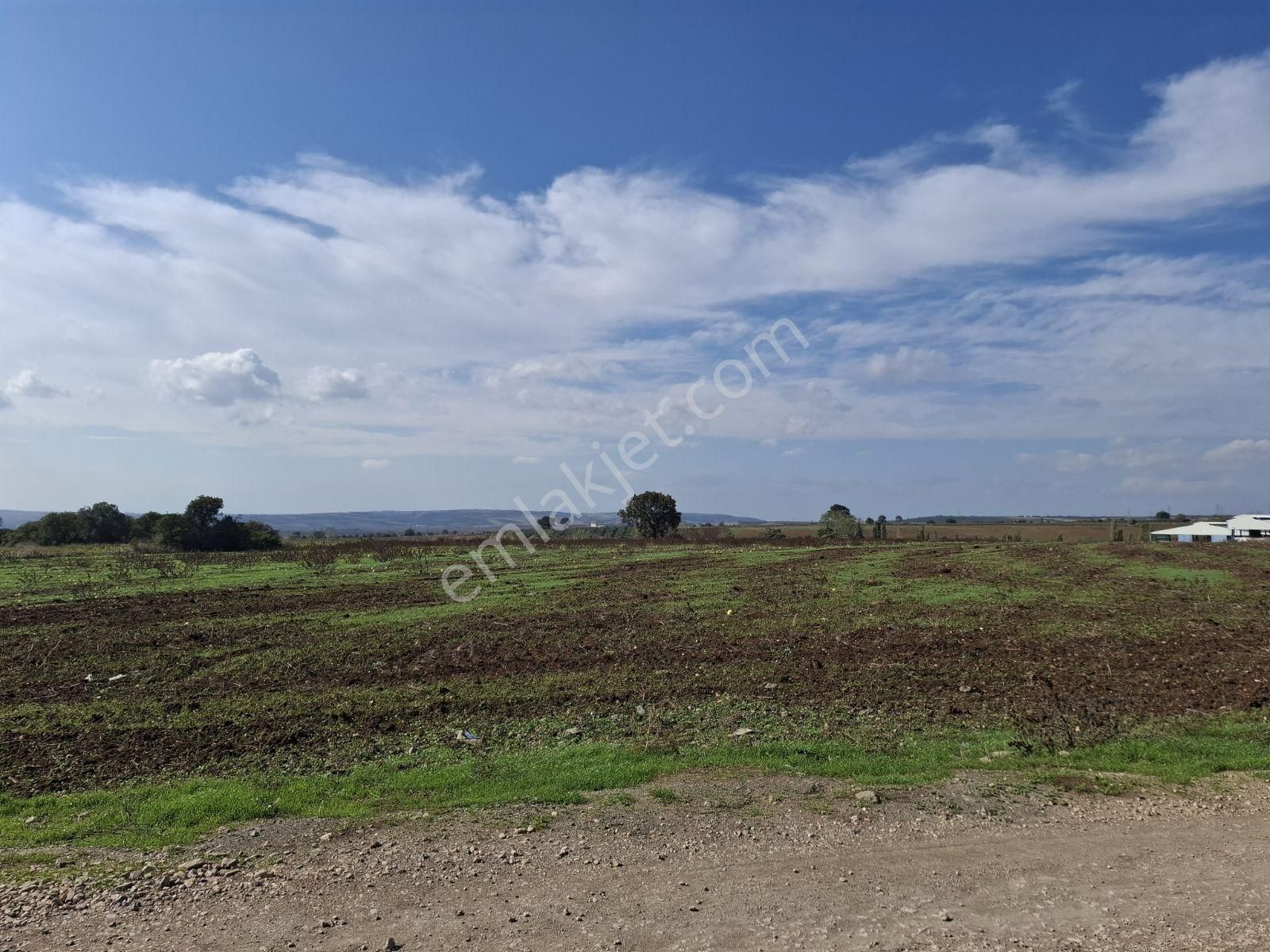 Karacabey Dağkadı Köyünde Çelik Silo Ruhsatlı Tarla - Görsel 4