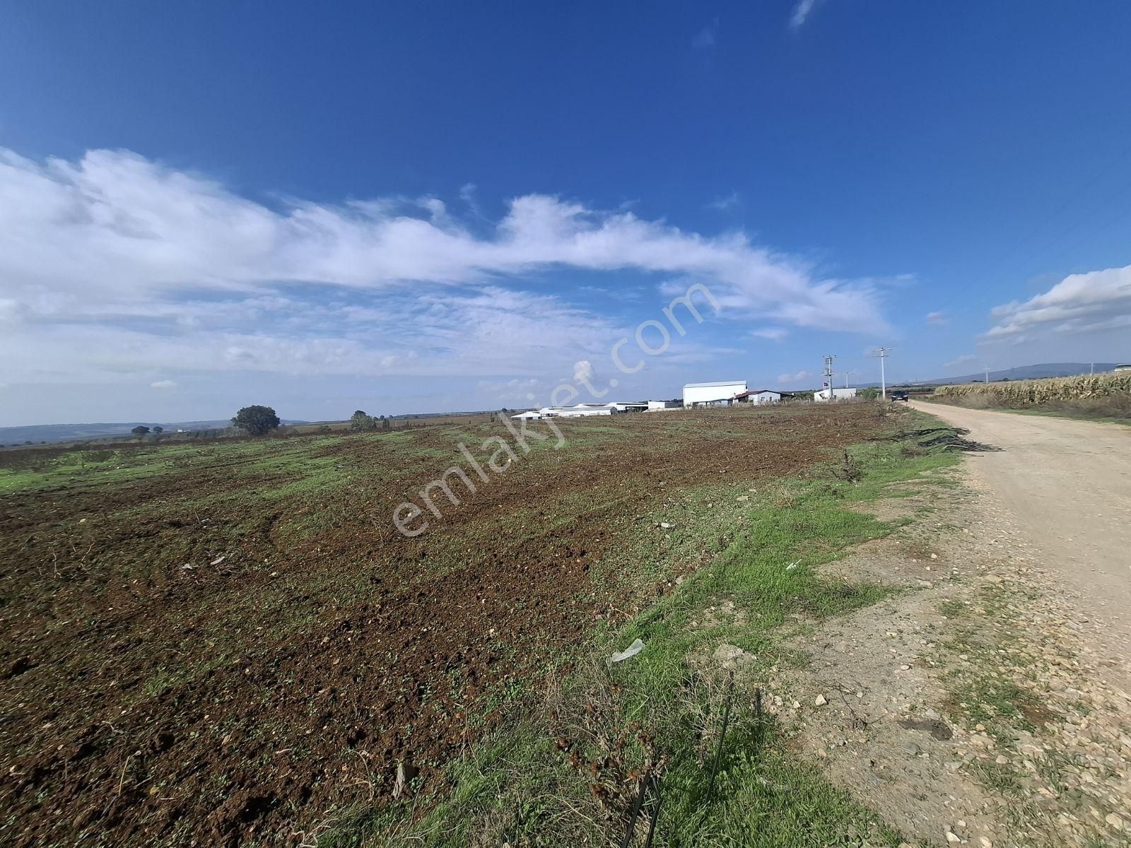 Karacabey Dağkadı Köyünde Çelik Silo Ruhsatlı Tarla - Görsel 3