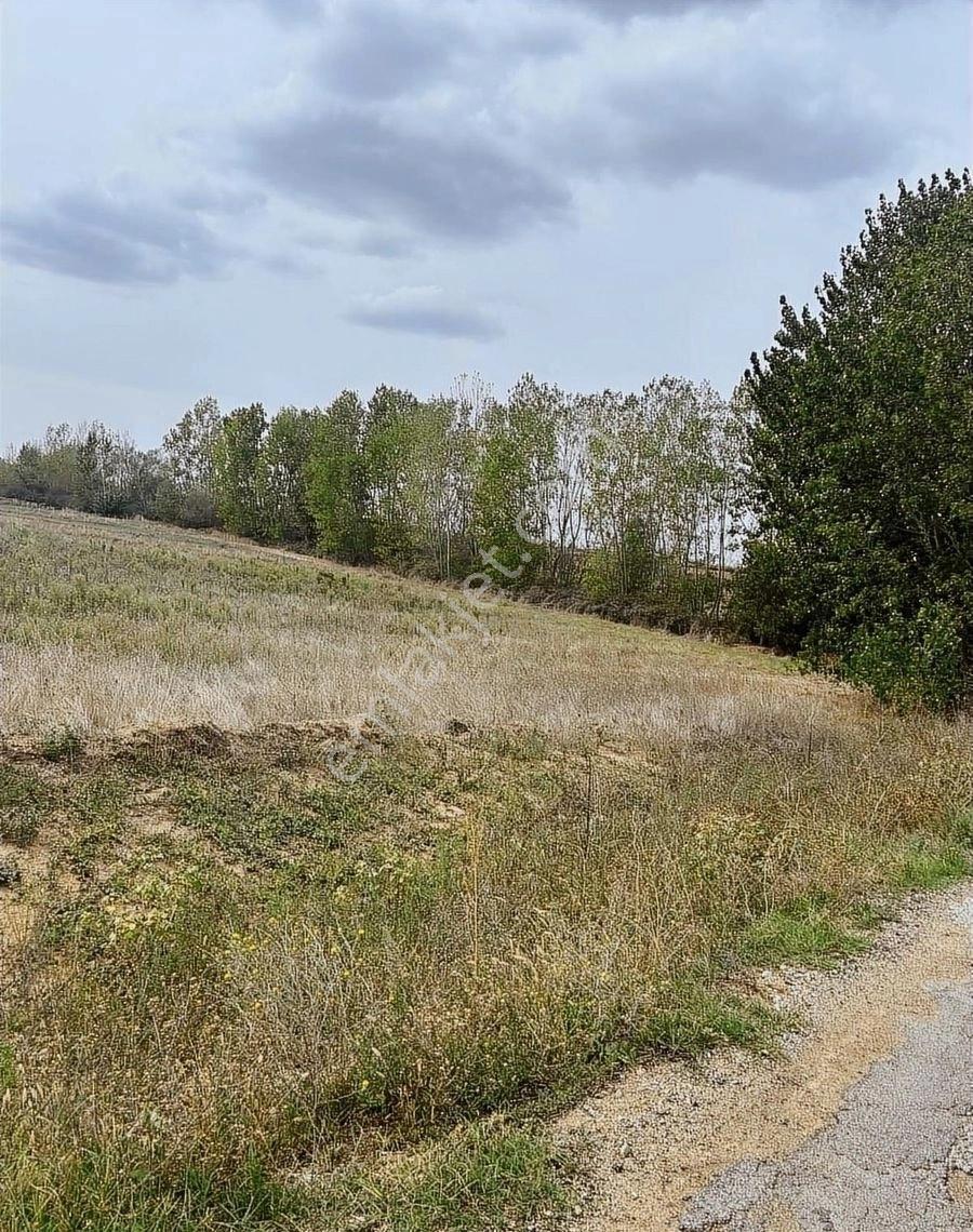 Kırklareli Merkez Kavaklı Beldesinde Satılık 532 Metre Hisse