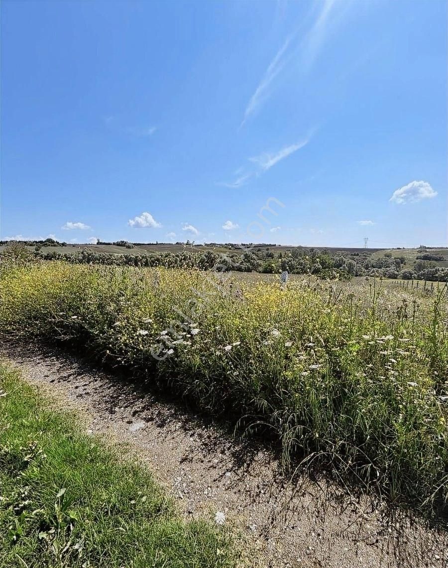 Silivri Ortaköyde Satılık Bir Dönüm Hisseli Tarla - Görsel 4
