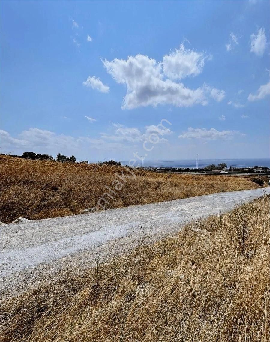 Büyükçekmece Celaliye'de 476 Metre Hisseli Tarlamız Satılık - Görsel 4