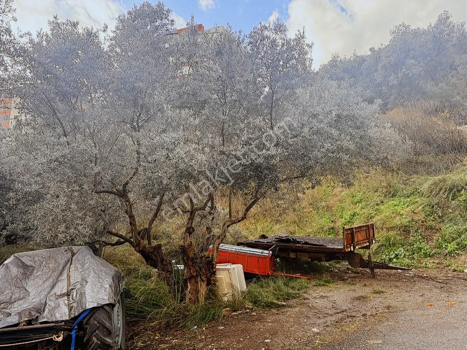 Mudanya Halitpaşa'da Kapital'den Merkezi Konumda Fırsat Arsa - Görsel 14