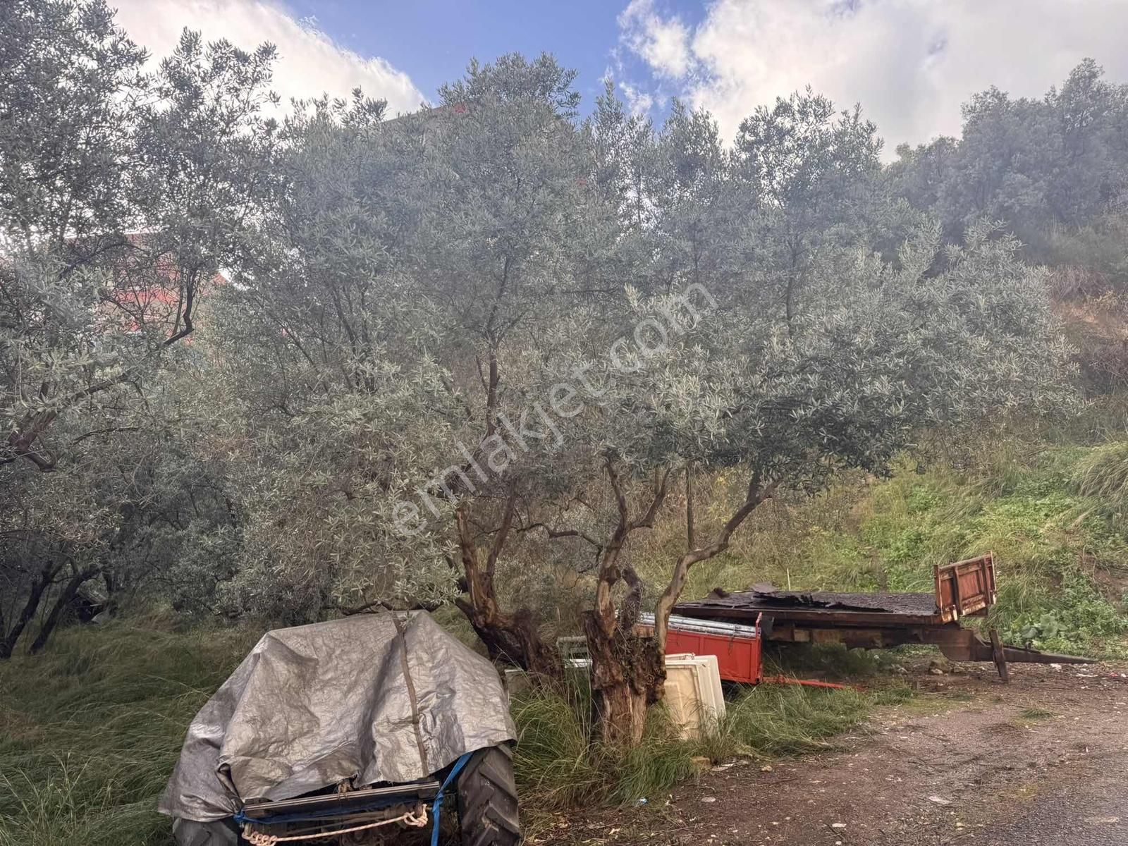 Mudanya Halitpaşa'da Kapital'den Merkezi Konumda Fırsat Arsa - Görsel 17