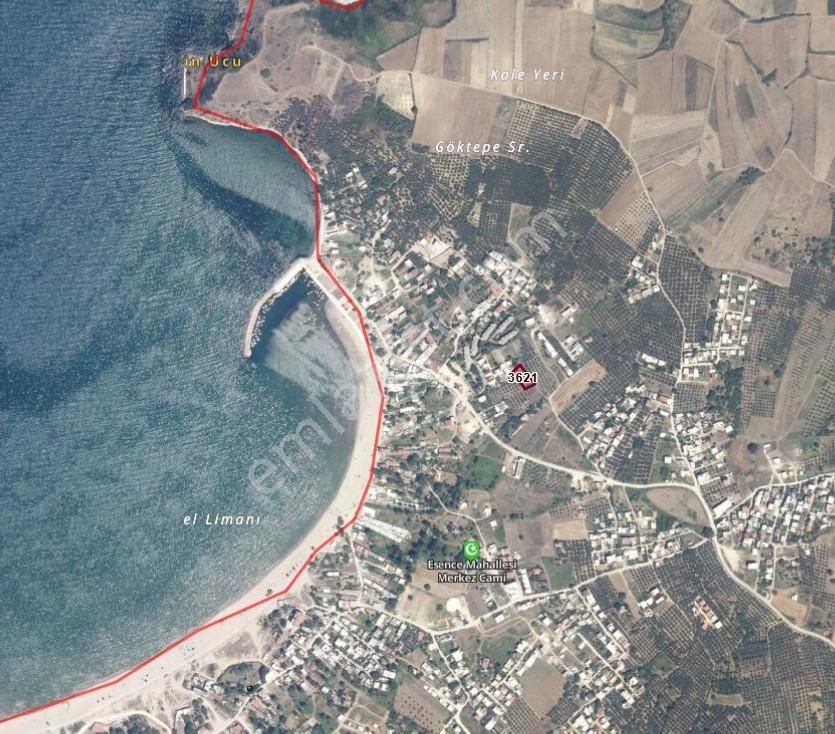 Mudanya Esence'de Kapital'den Tek Tapu Fırsat Tarla - Görsel 7