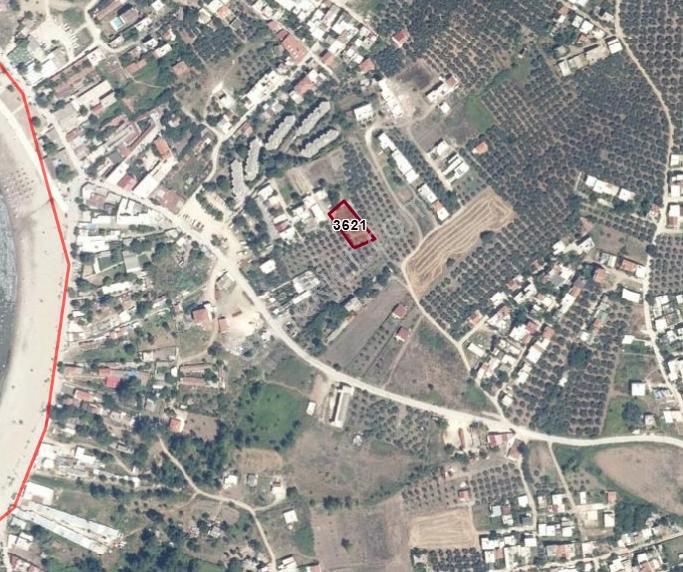 Mudanya Esence'de Kapital'den Tek Tapu Fırsat Tarla - Görsel 4