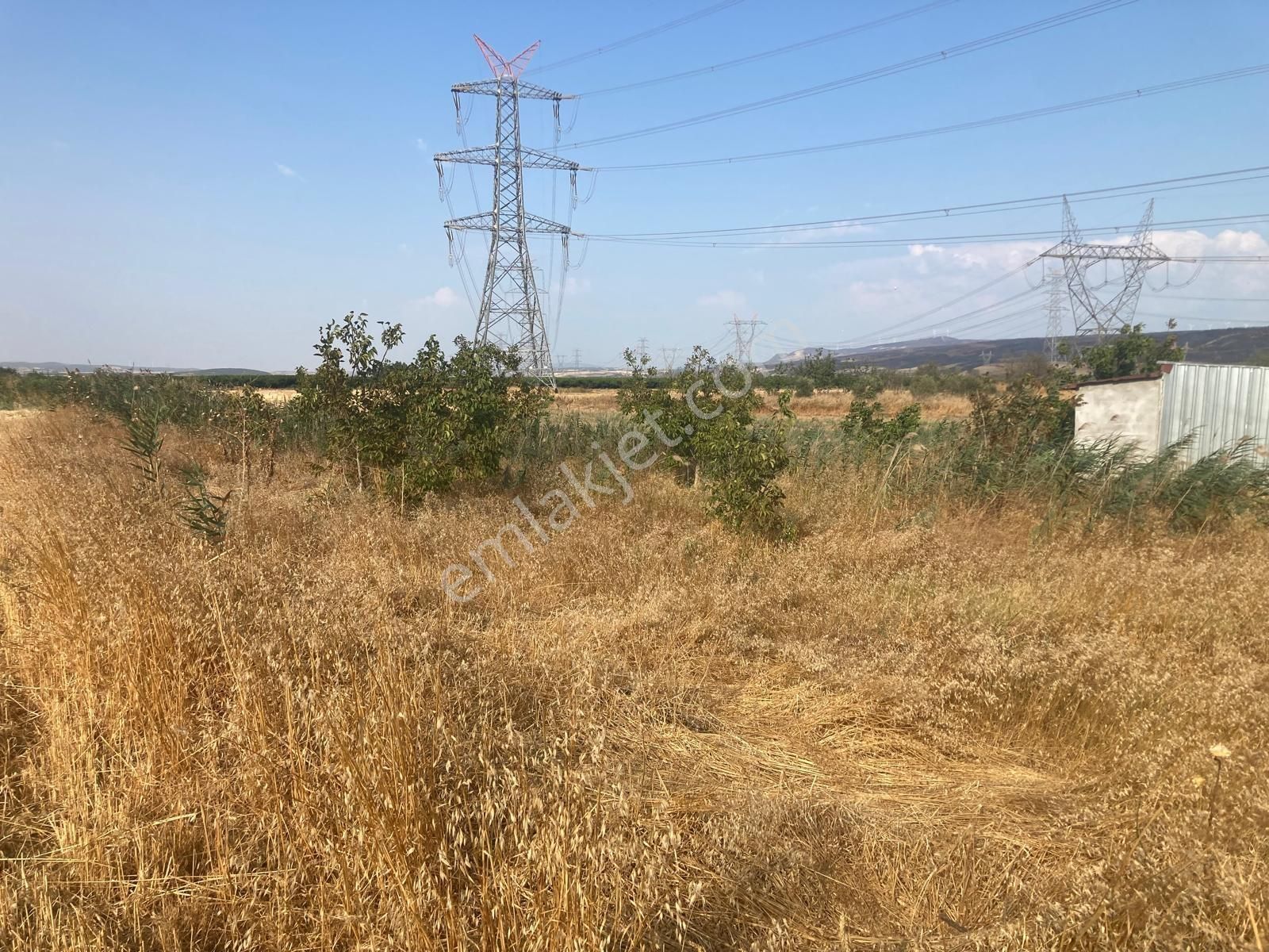 Kavakköy De Atabey Emlaktan Nehir Kenarı Hobi Bahçesi - Görsel 3