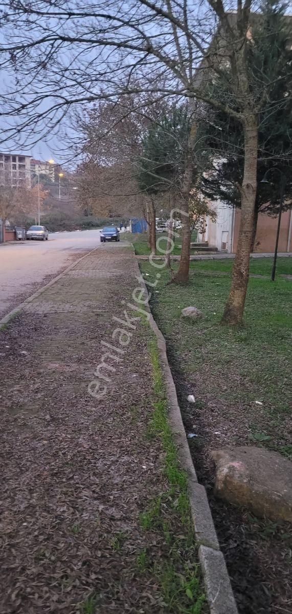 Sakarya Korucuk Fırsat 1+1 Toki Evleri - Görsel 29