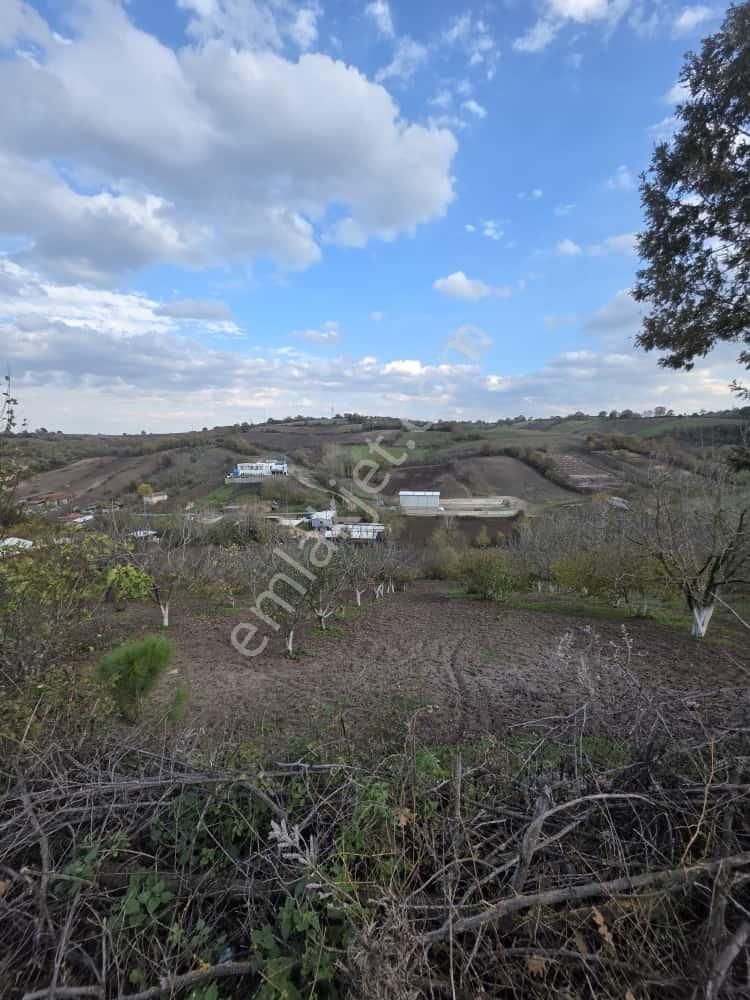 İnceoğlundan Demirdere'de 2 Adet 676m2 Ve 654m2 Satılık Arsa - Görsel 5