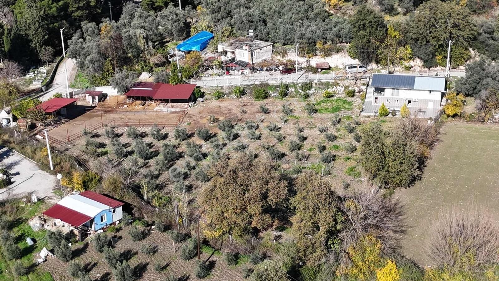 Saklıkente 15-20dk Mesafede Çiftlik Evi Ve 5.828m² Arazi - Görsel 13