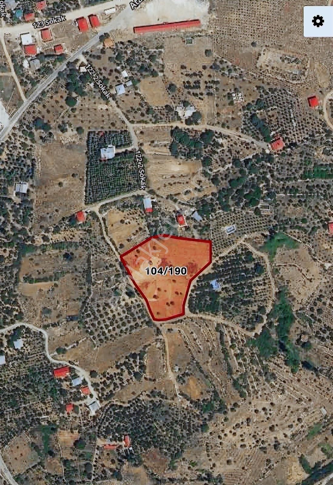Arslanköy'de Rızai Taksim Yapılmış Yol Su Ve Elektiriği Mevcut - Görsel 5