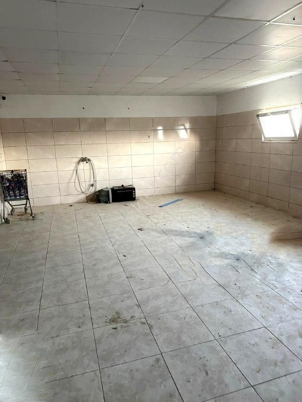 Yaşyer Tarım Ve Hayvancılık Komple Tesis Ve Arazisi Fırsat Fiyat - Görsel 33