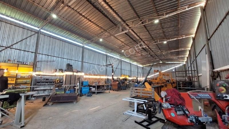 Yaşyer Tarım Ve Hayvancılık Komple Tesis Ve Arazisi Fırsat Fiyat - Görsel 19