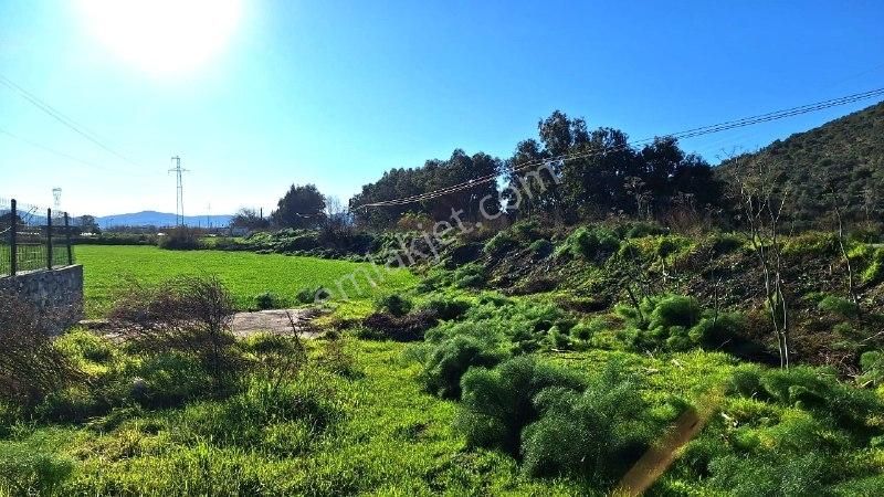 Yaşyer Tarım Ve Hayvancılık Komple Tesis Ve Arazisi Fırsat Fiyat - Görsel 12