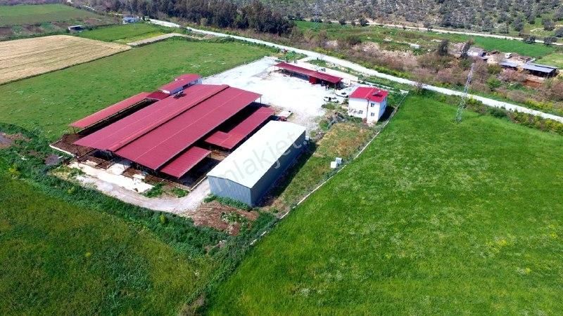 Yaşyer Tarım Ve Hayvancılık Komple Tesis Ve Arazisi Fırsat Fiyat
