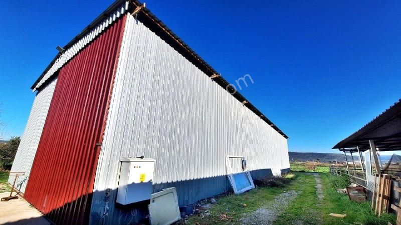 Yaşyer Tarım Ve Hayvancılık Komple Tesis Ve Arazisi Fırsat Fiyat - Görsel 27