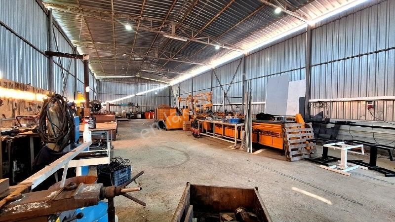 Yaşyer Tarım Ve Hayvancılık Komple Tesis Ve Arazisi Fırsat Fiyat - Görsel 31