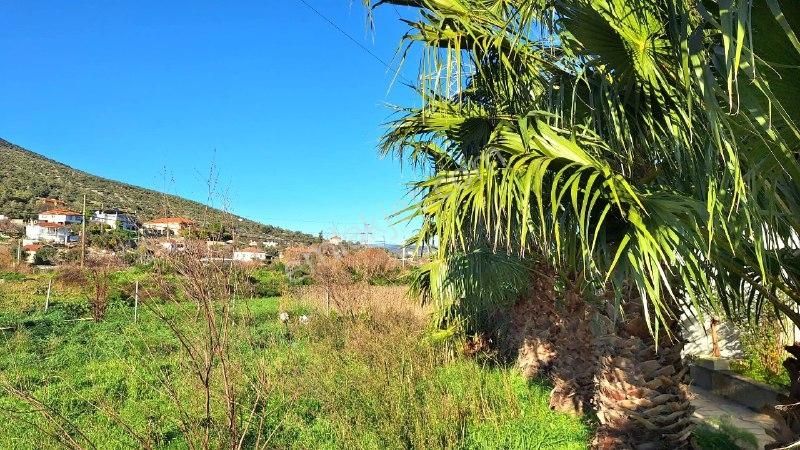 Yaşyer Tarım Ve Hayvancılık Komple Tesis Ve Arazisi Fırsat Fiyat - Görsel 22